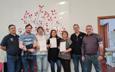 Véradás a HW Stúdió Kft-nél